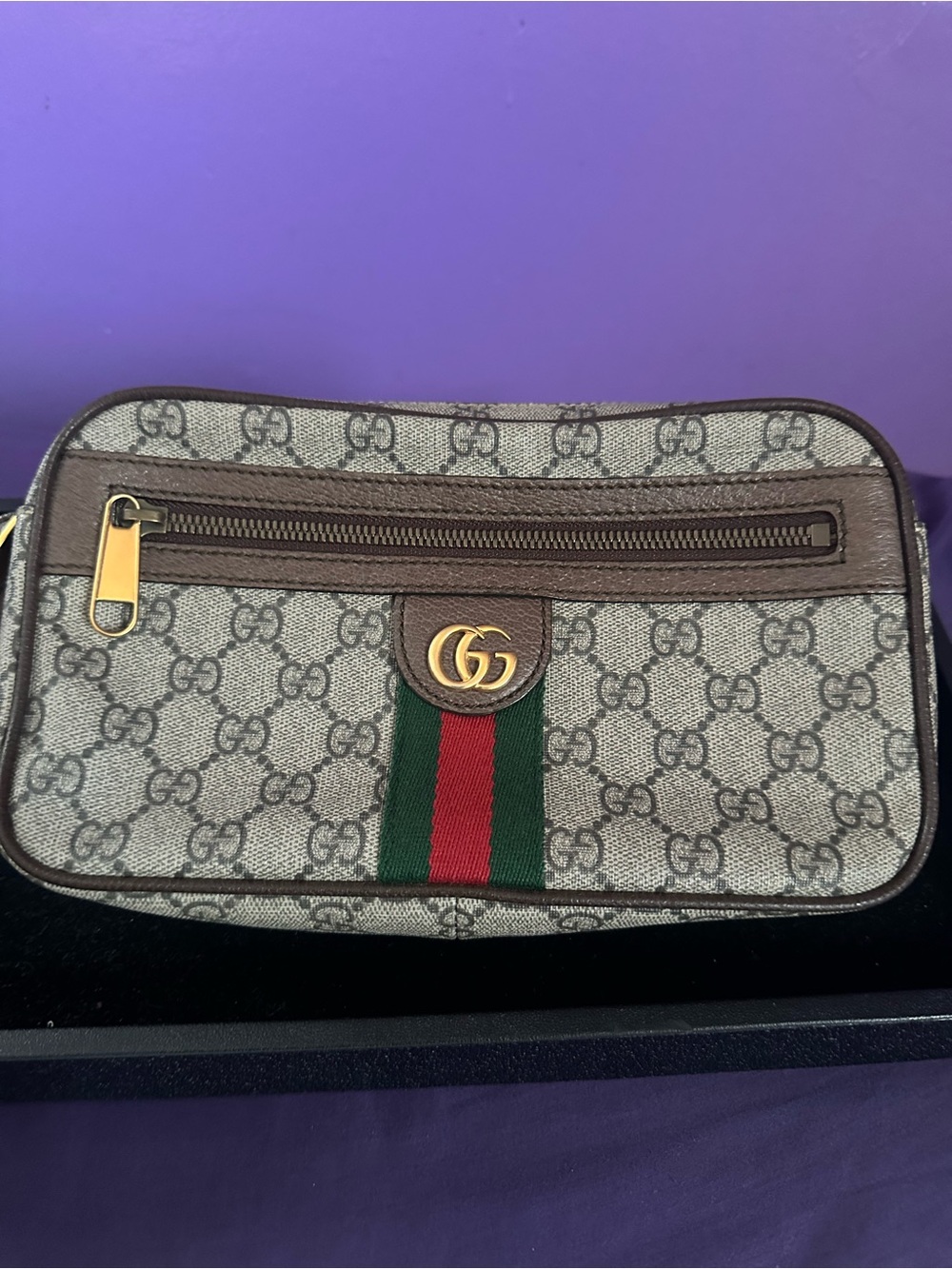 Gucci Brown GG Supreme Web Canvas Belt Bag